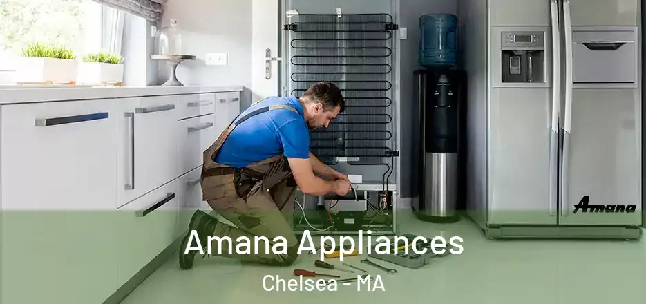  Amana Appliances Chelsea - MA