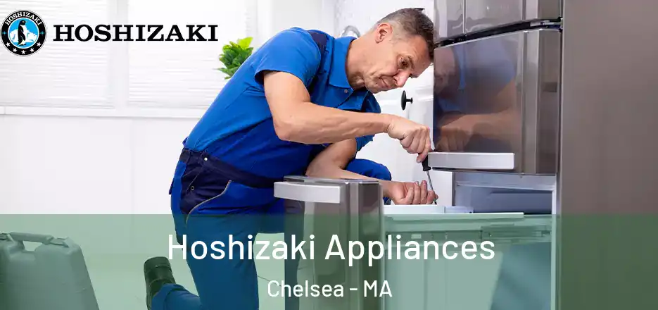  Hoshizaki Appliances Chelsea - MA