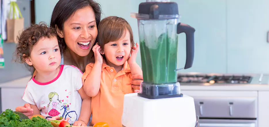Juicer and Mixer Blender Repair in Chelsea