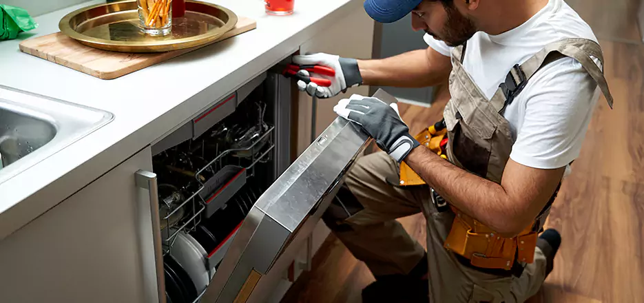 Same Day Dishwasher Not Draining Repair in Chelsea