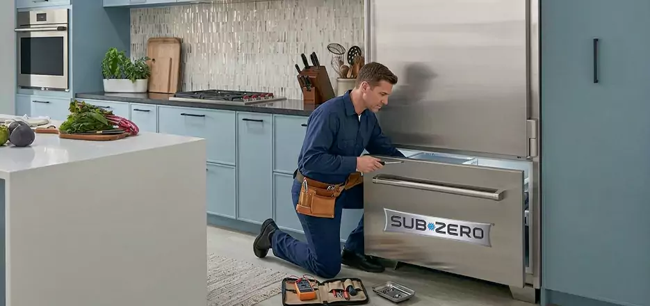 Sub-Zero Appliance Maintenance in Chelsea