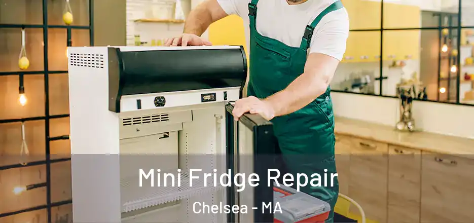Mini Fridge Repair Chelsea - MA